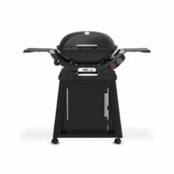 Weber Q2800N W/Stand Gas Grill Midnight Black (Lp Only)