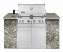 Weber Summit Built-In S-460 S/S